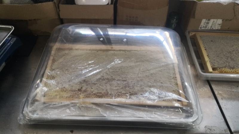 特价原框蜂巢蜜，结晶蜂巢蜜，跑江湖摆地摊，水果摊