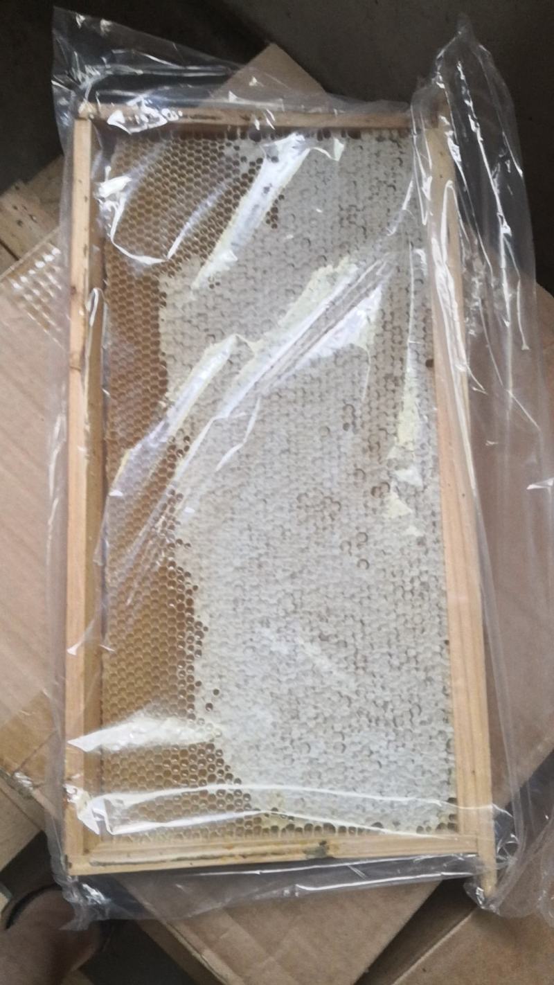 特价原框蜂巢蜜，结晶蜂巢蜜，跑江湖摆地摊，水果摊