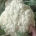 花菜青梗白面松花可供市场电商等各种渠道