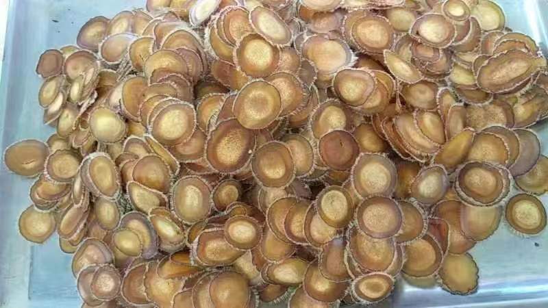 【鹿茸半腊片】“包邮”，鹿茸切片是鹿茸腊片下面那段。