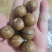夏威夷果，一件10斤。奶香坚果炒货，量大优惠，全国发货