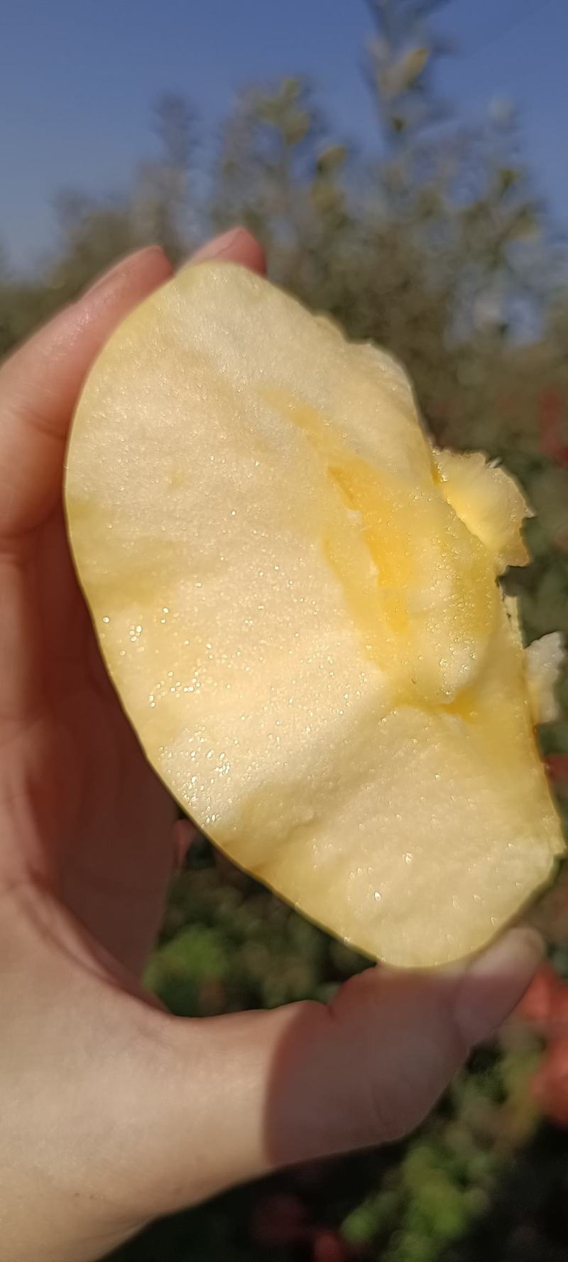 苹果中的维纳斯！