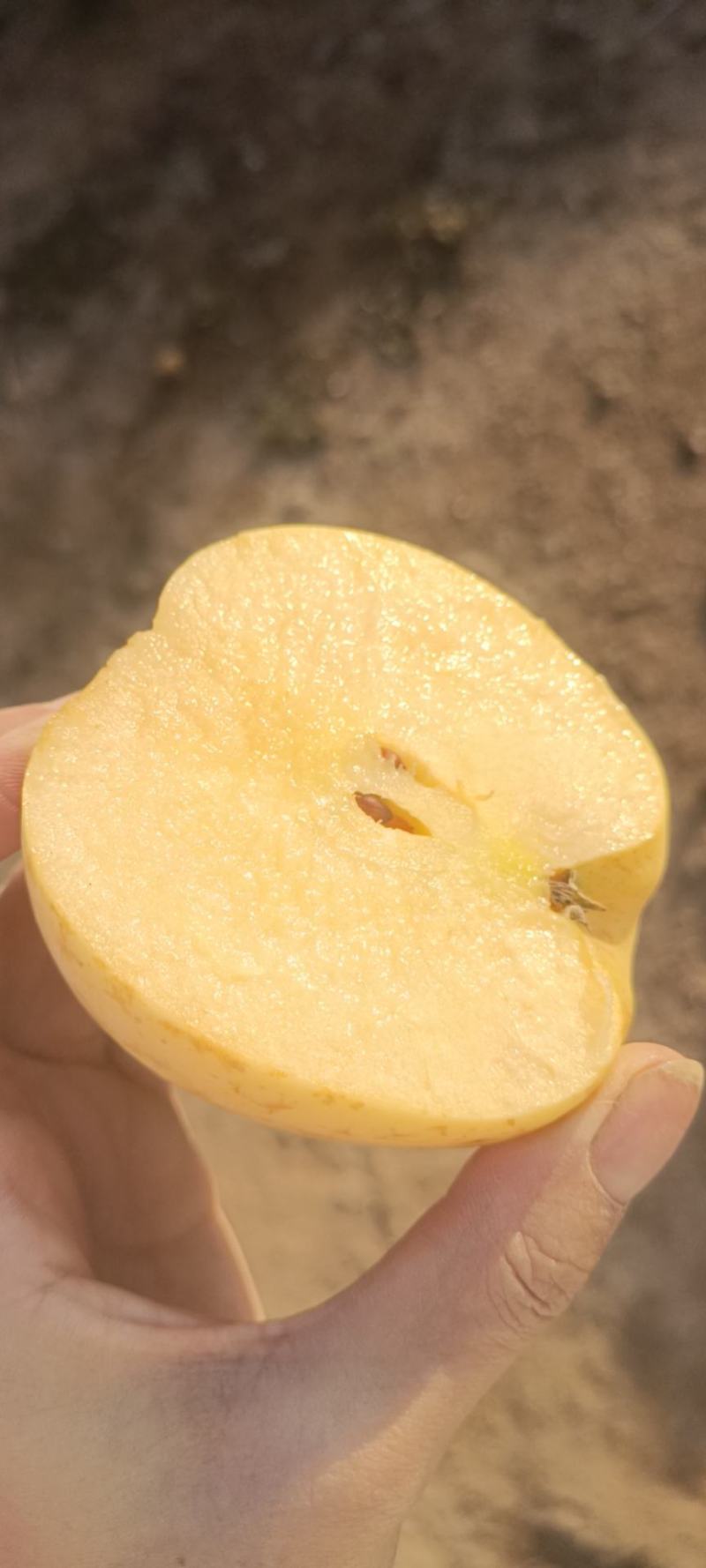 苹果中的维纳斯！