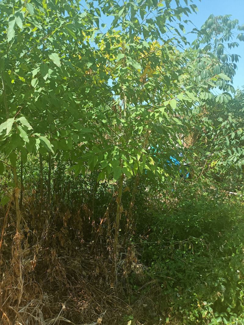 惠州惠东内，汕尾海丰，河源紫金，量大可送货上门