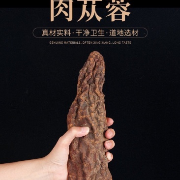 肉苁蓉新疆肉苁蓉大量批发肉苁蓉大芸