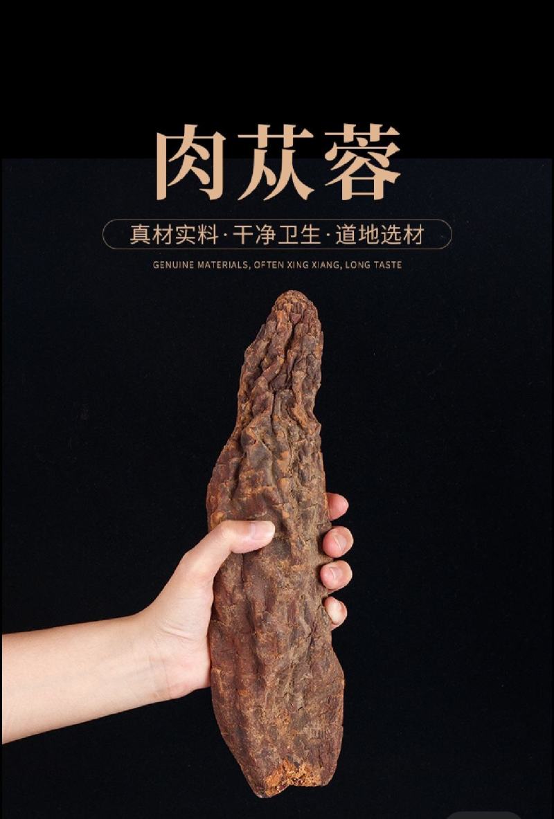 肉苁蓉新疆肉苁蓉大量批发肉苁蓉大芸