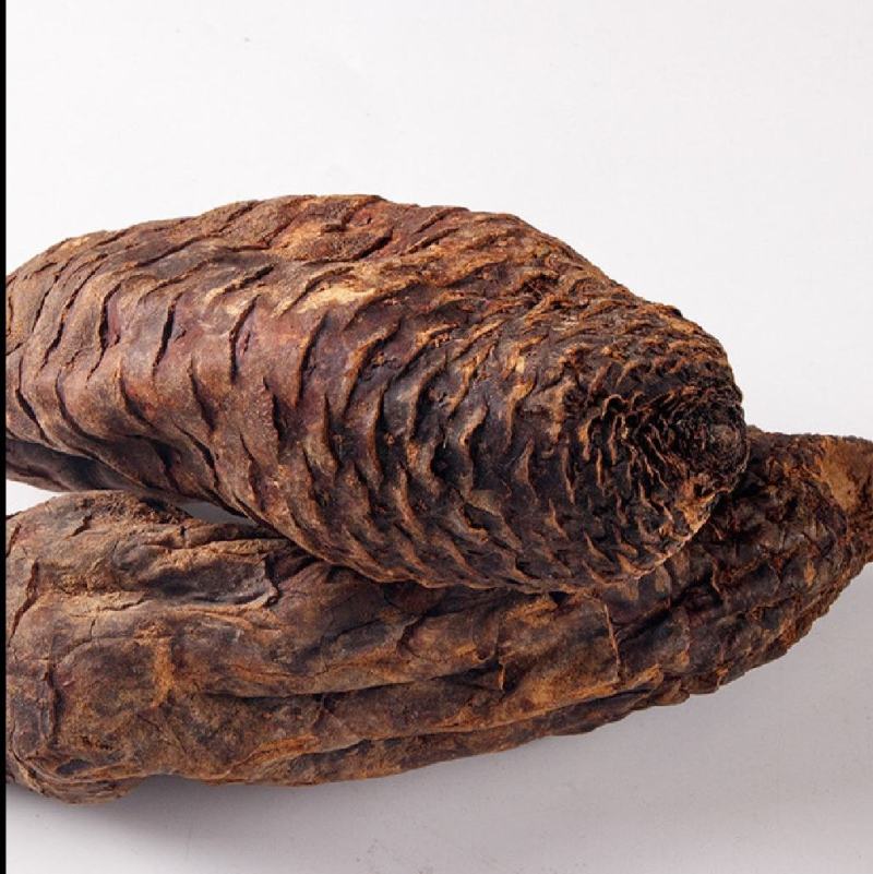 肉苁蓉新疆肉苁蓉大量批发肉苁蓉大芸
