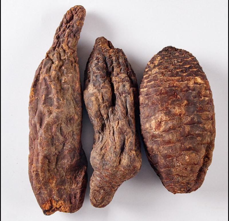 肉苁蓉新疆肉苁蓉大量批发肉苁蓉大芸