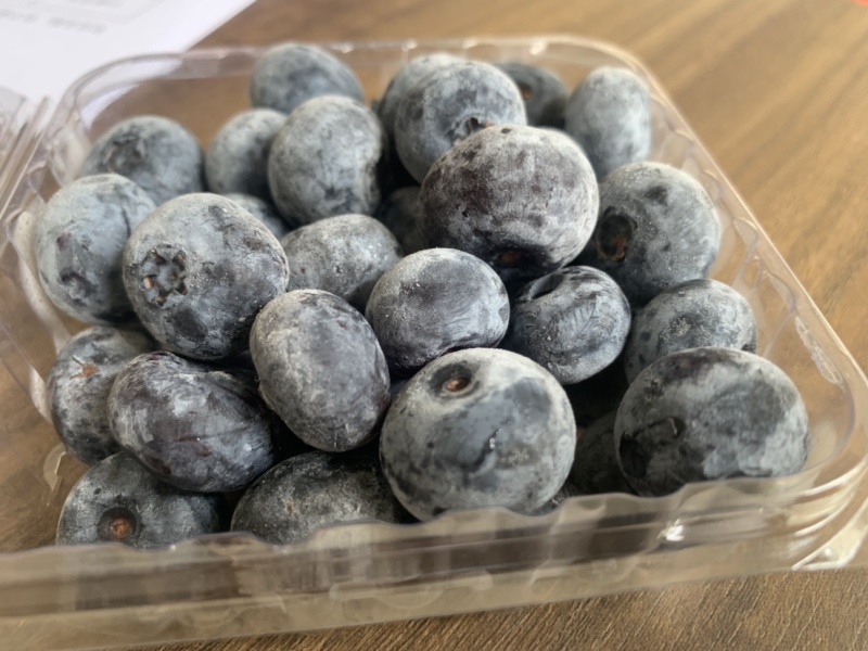 蓝莓冻果蓝莓加工果自有仓库一手货源