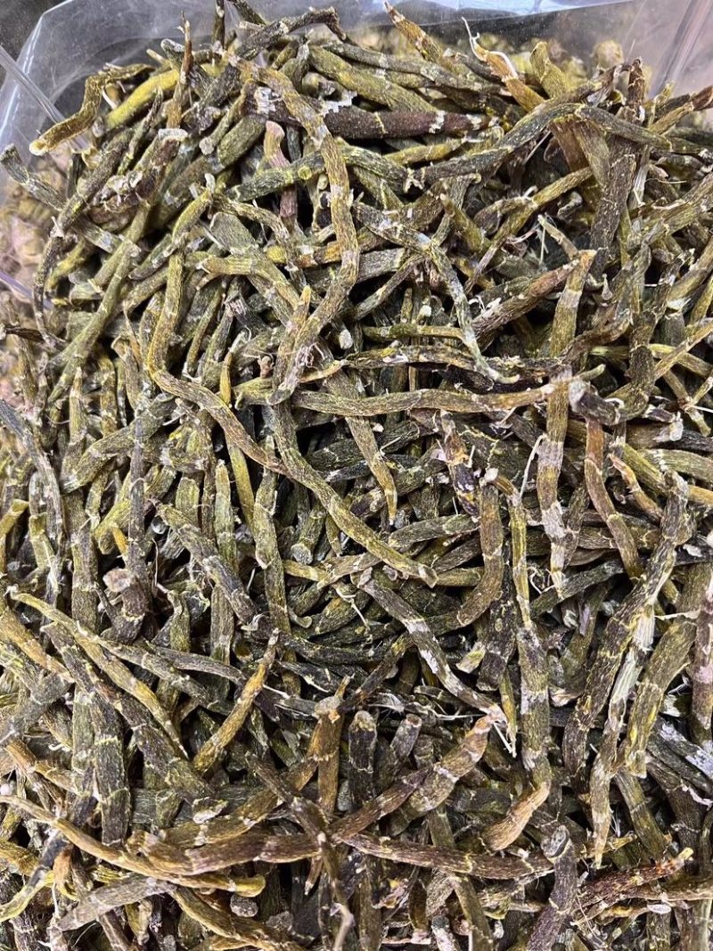 珍虫石斛干货珍虫石斛干条产地直供一手货源批发价格优势