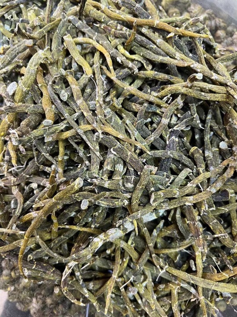 珍虫石斛干货珍虫石斛干条产地直供一手货源批发价格优势