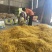 【热卖】脱水优质黄花菜，产地直供，品质保证，质优价廉物美