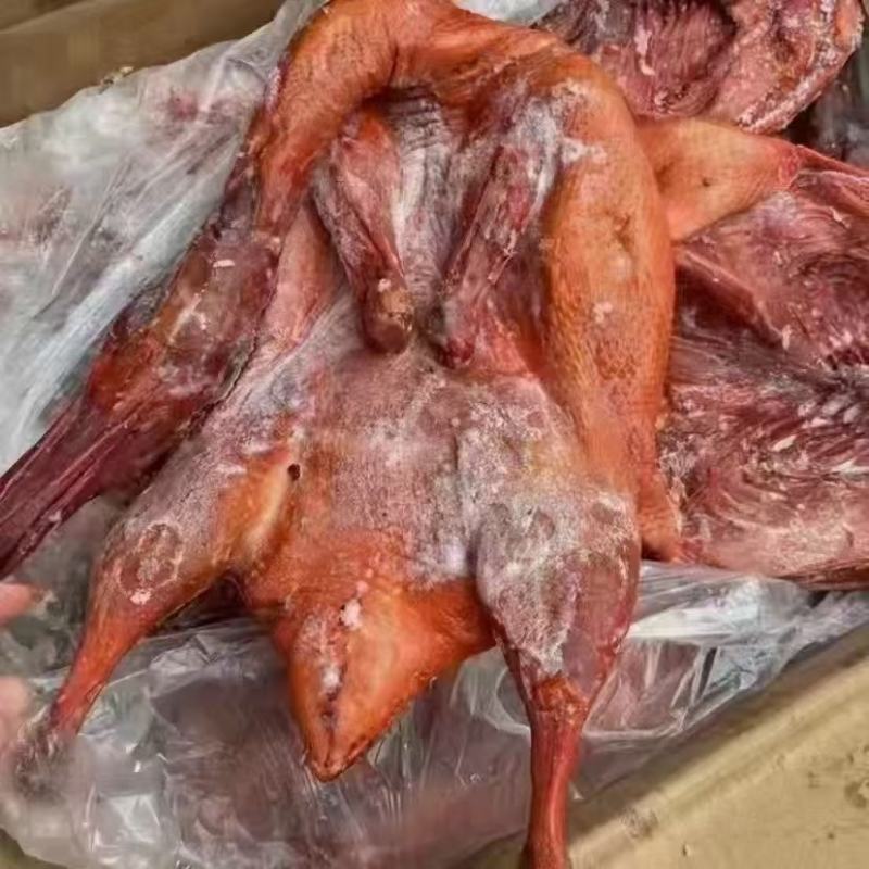 卤板鸭，味道巴士香味十足，摆地摊，销会批发价