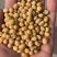 双比重筛选河南豆水分13内蛋白42