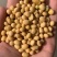双比重筛选河南豆水分13内蛋白42