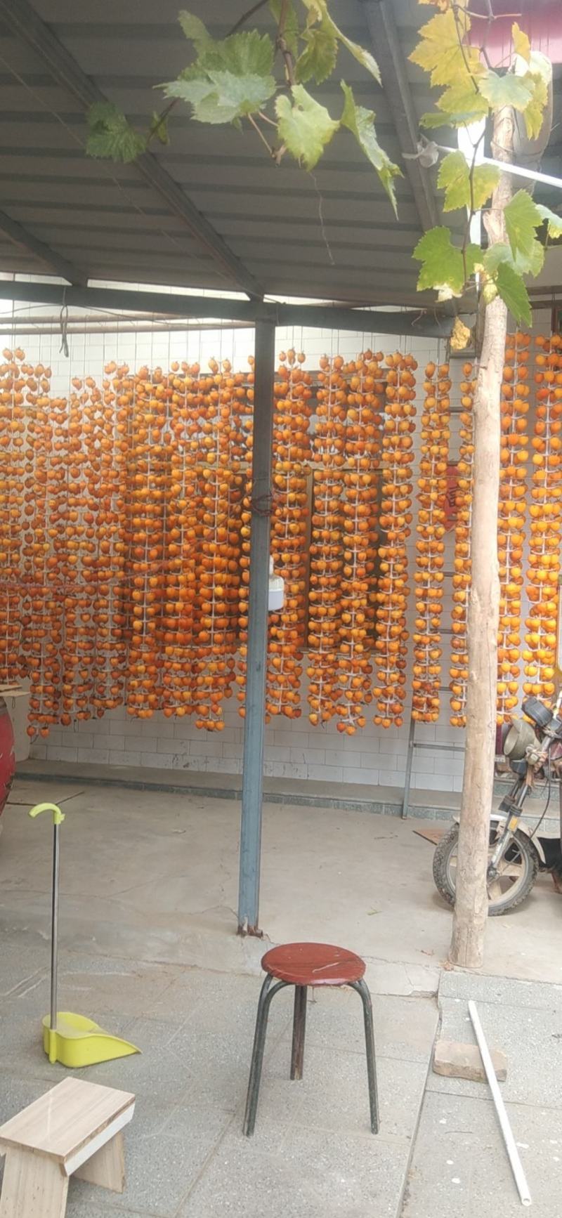合阳农家柿饼，纯手工