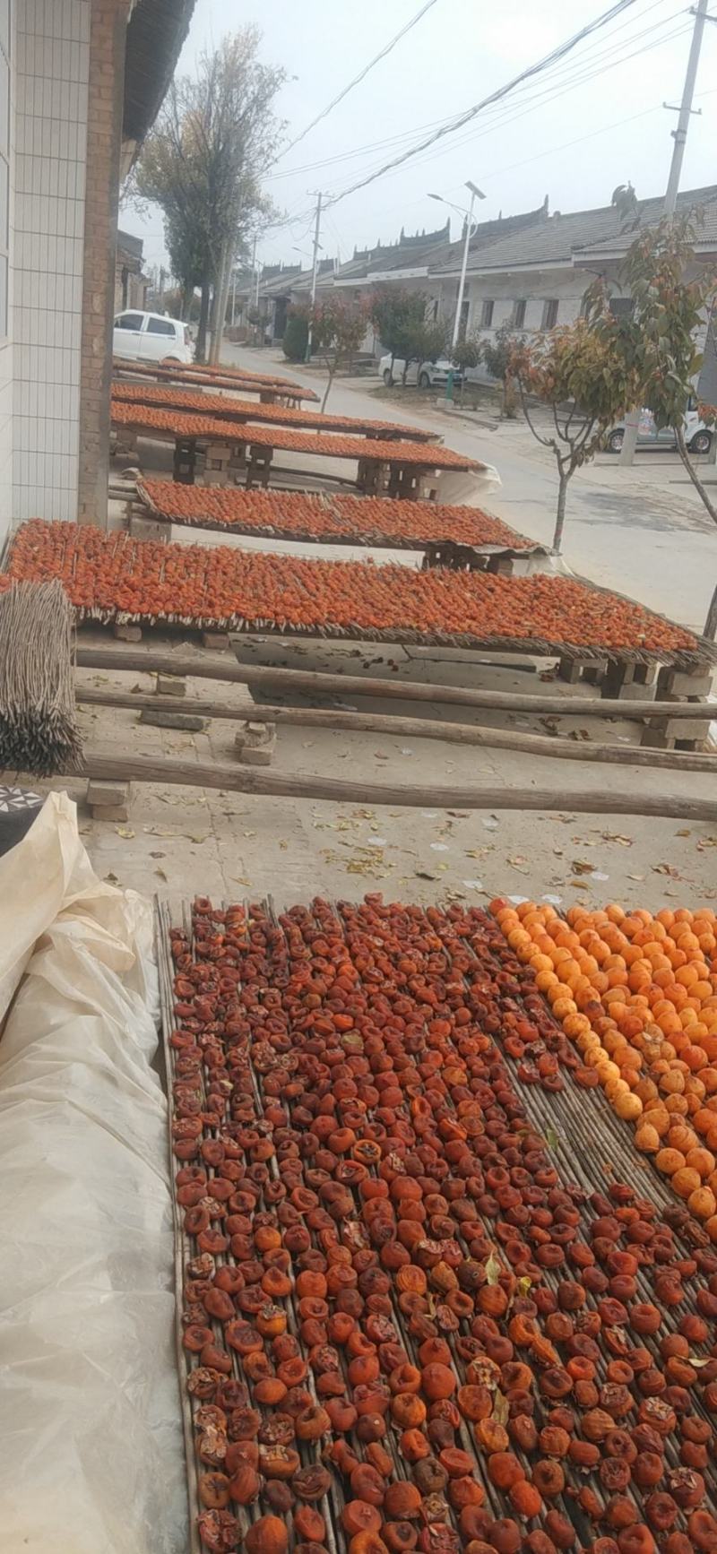 合阳农家柿饼，纯手工