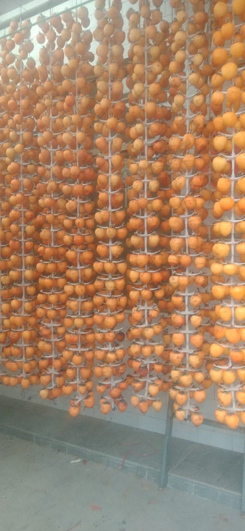 合阳农家柿饼，纯手工