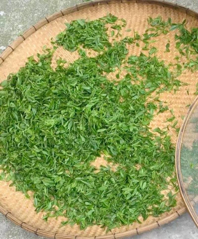 （牛商推荐）安化本地荒山野生天尖茶100克装每人限购一袋