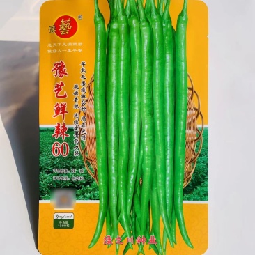 豫艺鲜辣60线椒种子早熟长果线椒种籽顺直光滑脆嫩香辣