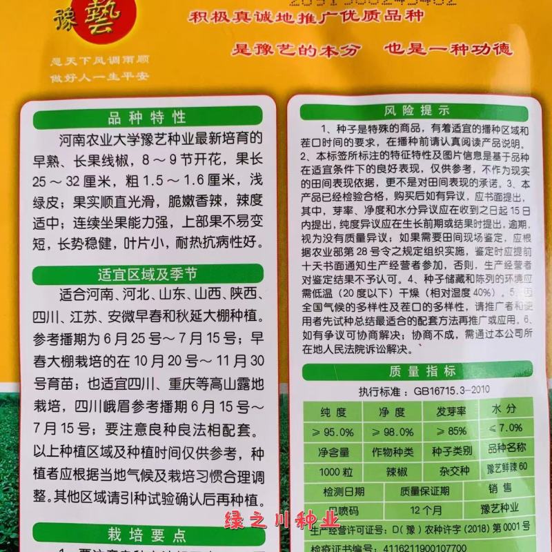 豫艺鲜辣60线椒种子早熟长果线椒种籽顺直光滑脆嫩香辣