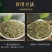 野生松针茶食用新鲜松针叶五针松酵素500g蒸包子松