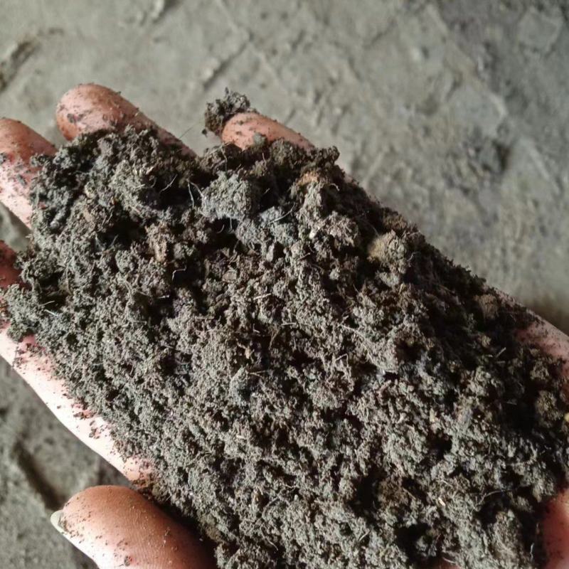 东营利津发酵羊粪有机肥一手货源厂家供货各类包装各种规格肥