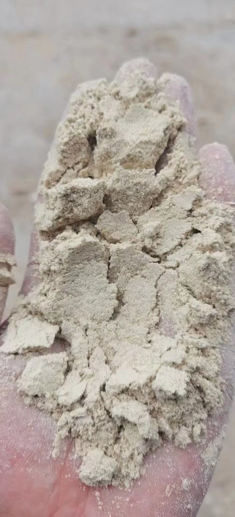 谷子粉，稻谷面，蛋白8，纤维8，灰分6，淀粉49，