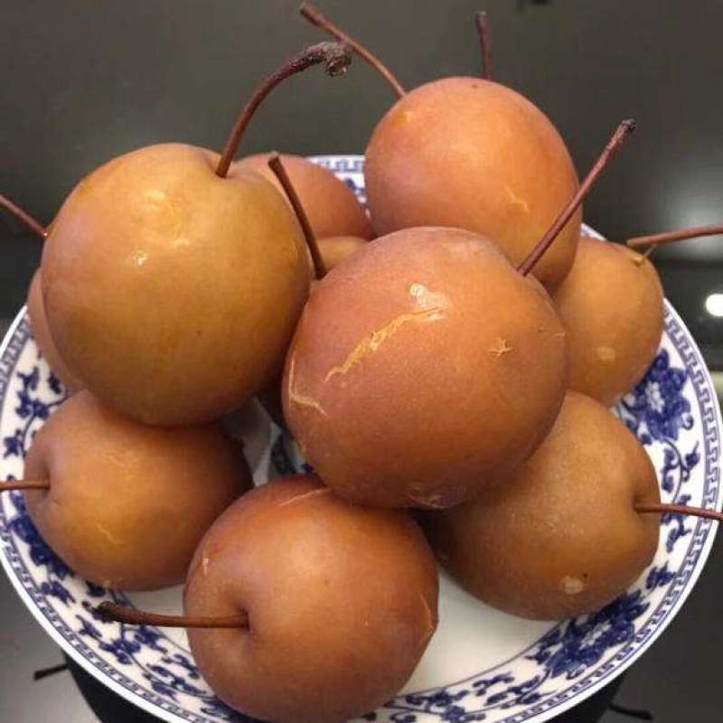 红肖梨，蜜梨，糖梨出售