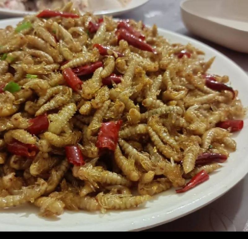 大麦虫蛹高蛋白特色食材