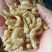大麦虫蛹高蛋白特色食材