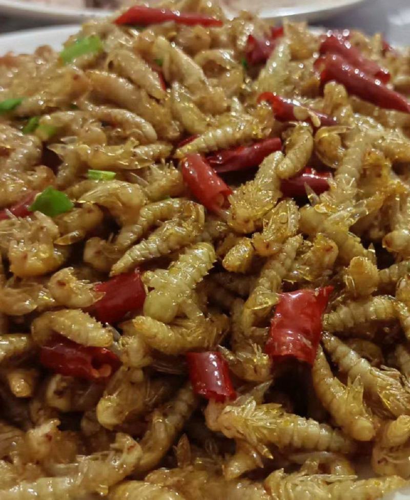 大麦虫蛹高蛋白特色食材