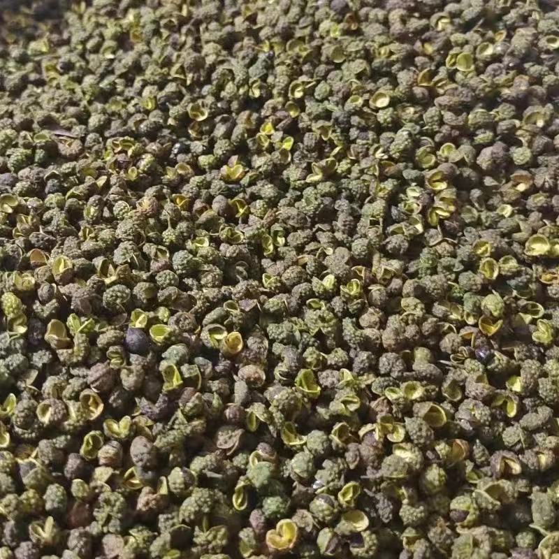 四川青花椒现货现发特产花椒麻辣烫调料川菜火锅底料调味料