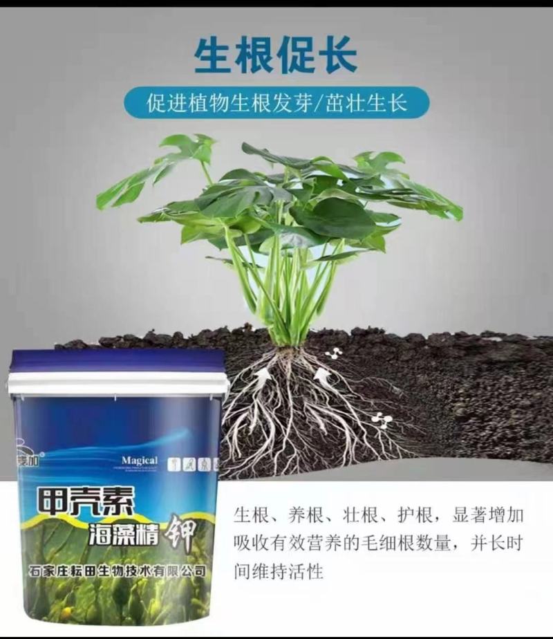 甲壳素海藻精钾，生根，养根，壮根，护根，抗病预防