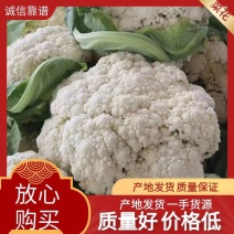 湖北有机花菜2～3斤松花菜乳白精品基地直发可视频看货