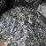 紫菜三水紫菜半自动手工园饼一斤50片一手货源欢迎采购