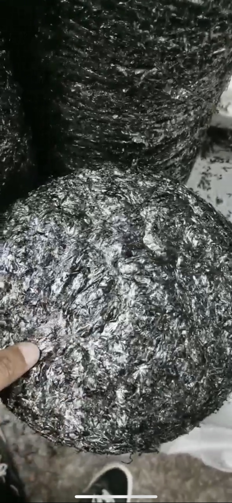 紫菜三水紫菜半自动手工园饼一斤50片一手货源欢迎采购