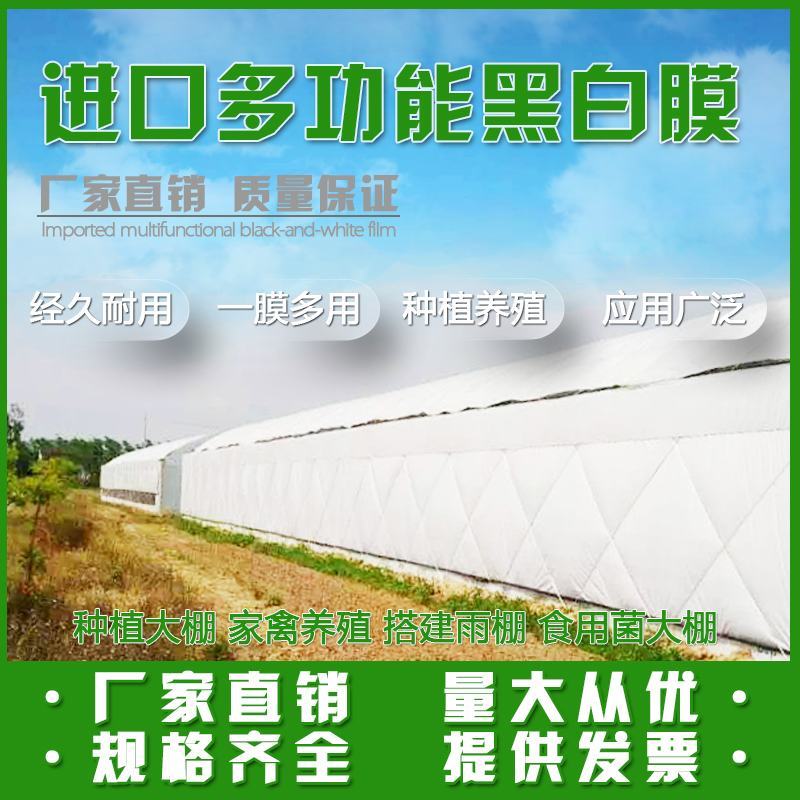 大棚膜黑白膜绿白膜无滴膜po膜白膜全新料进口