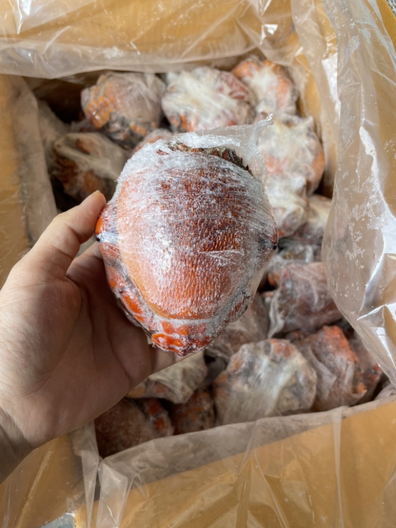 榴莲肉，老虎蟹，比目鱼切片