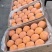 万亩桃园大量山坡磨盘柿