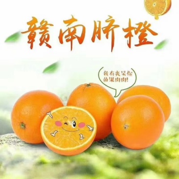 赣南脐橙，招代理，一件代发