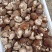 鲜香菇吉林冬菇上市0912