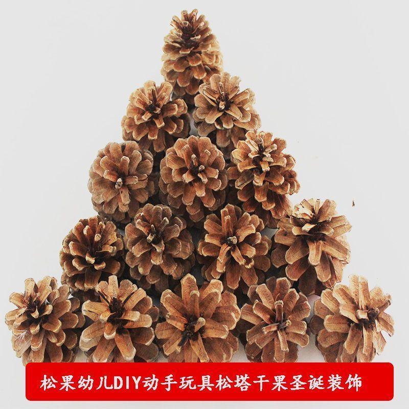 天然松果松塔diy创意圣诞装饰摆件挂饰幼儿园手工材料拍摄