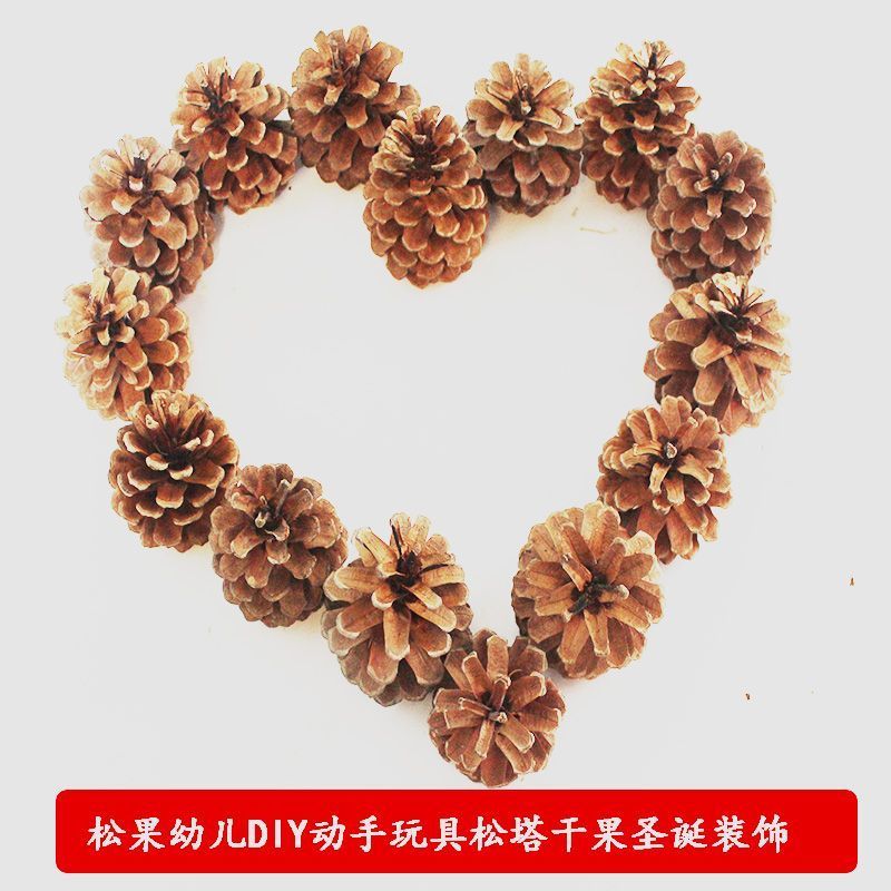 天然松果松塔diy创意圣诞装饰摆件挂饰幼儿园手工材料拍摄