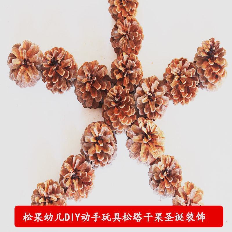 天然松果松塔diy创意圣诞装饰摆件挂饰幼儿园手工材料拍摄