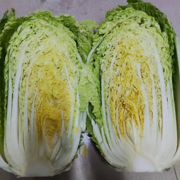 包心白菜