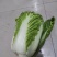 包心白菜