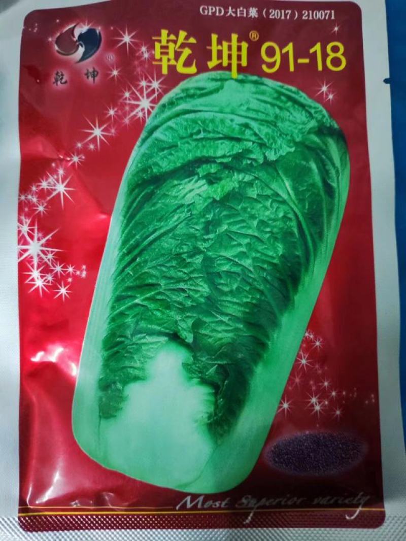 包心白菜