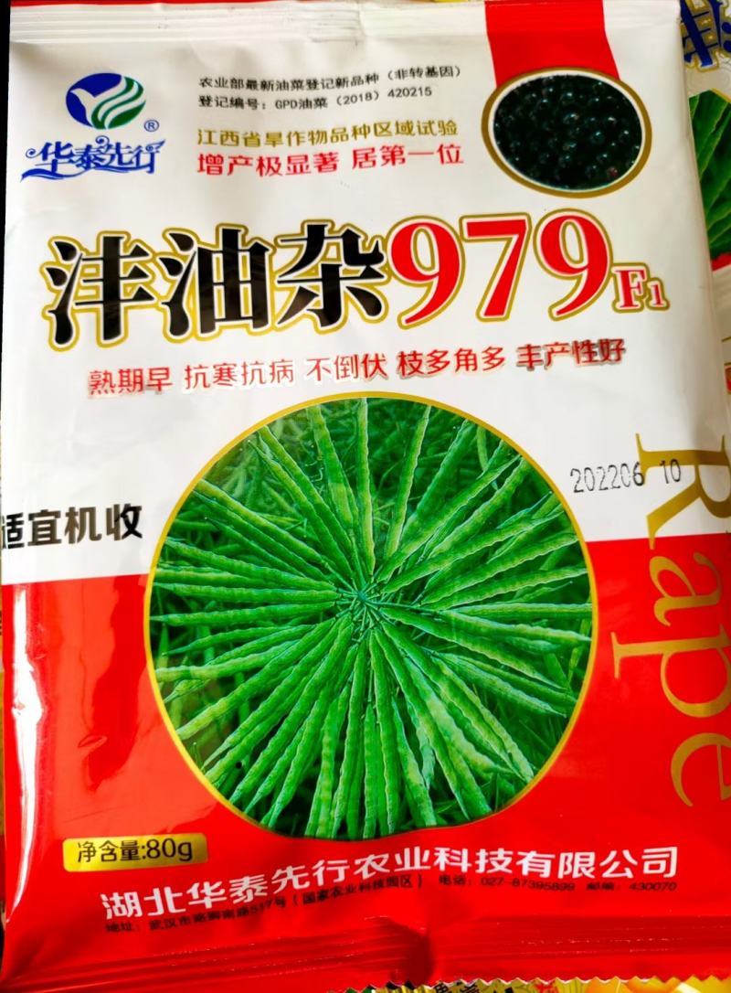 彩色油菜花种子四季易活耐寒观赏花海七彩高产油菜籽绿肥种籽