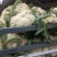有机花菜精品松花菜无虫无腐烂协助找车找货源全国发